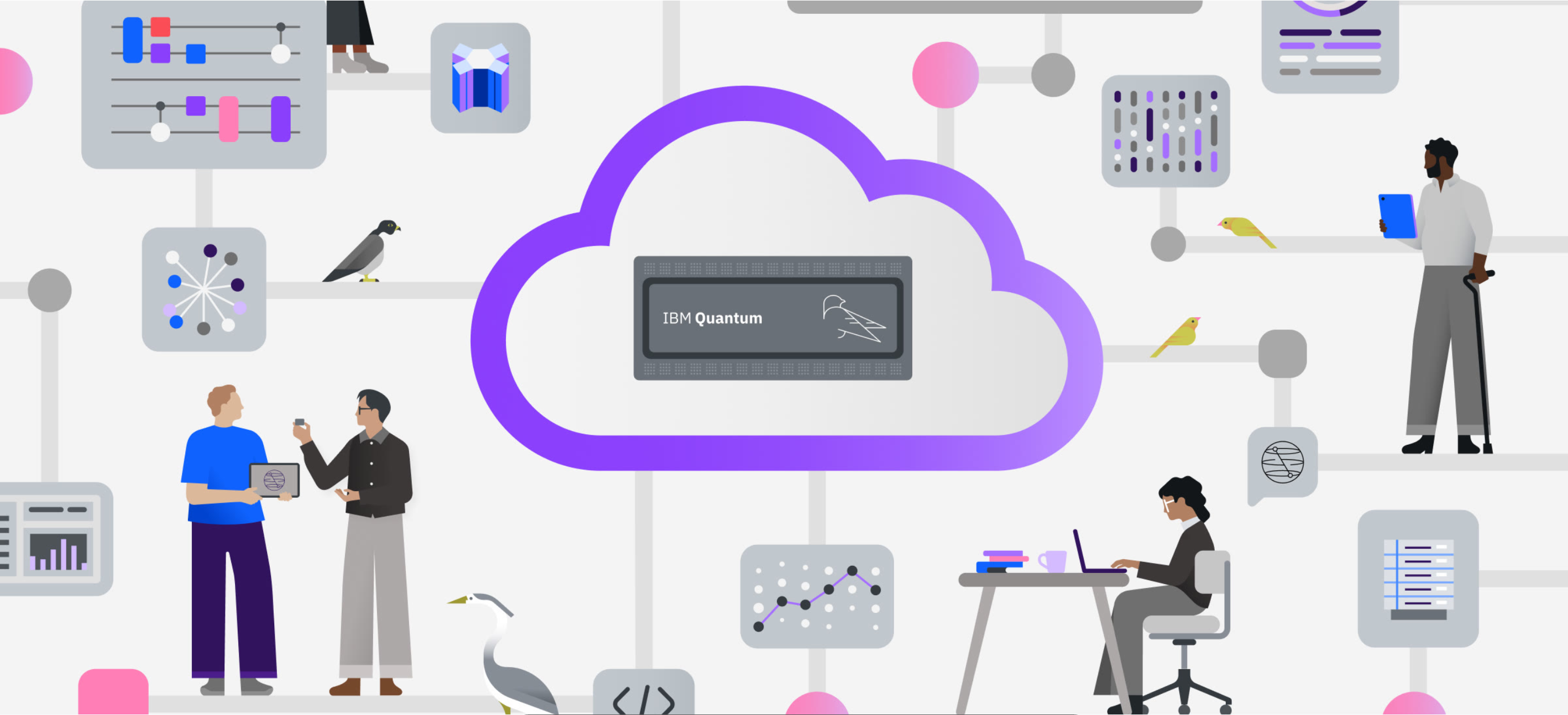 IBM QGSS